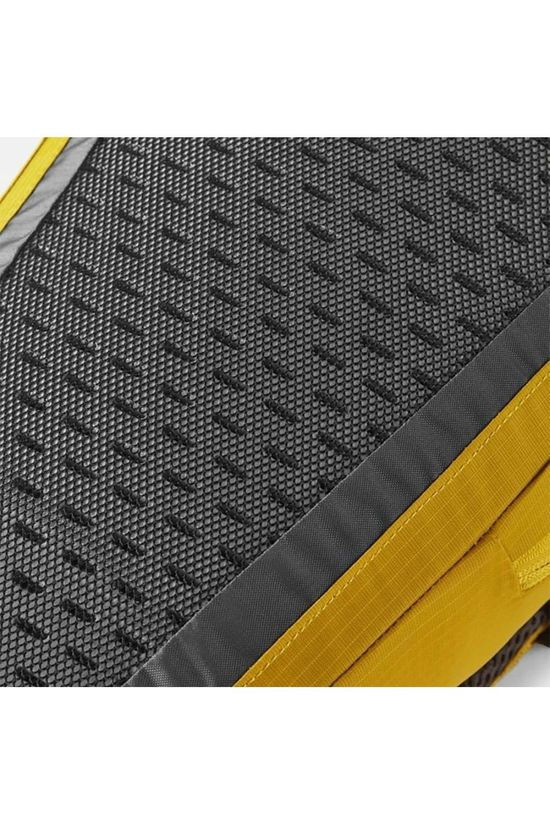 Lowe Alpine Dagrugzak Tensor 10 gold