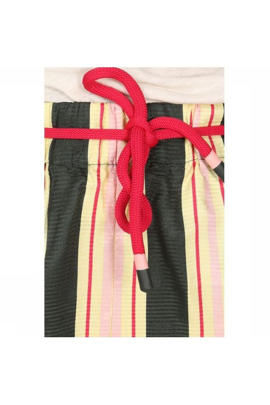 Scotch & Soda Broek 153236 dark green/light yellow