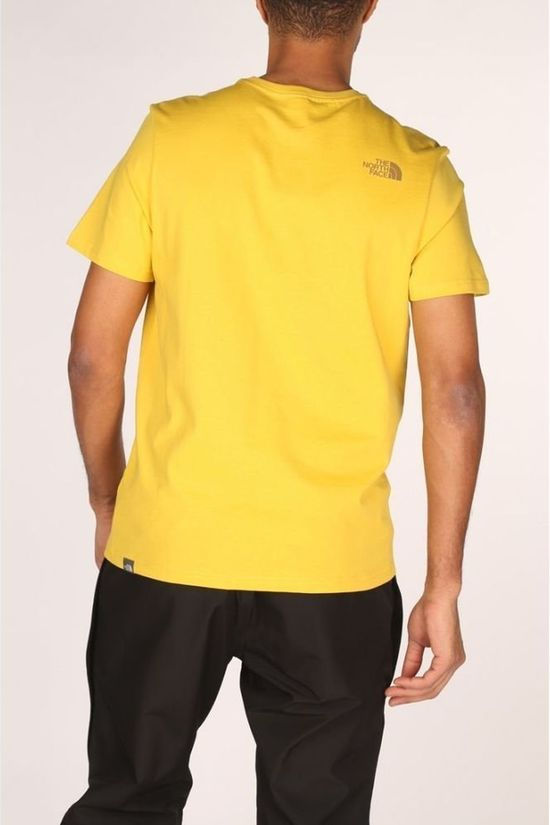 The North Face T-Shirt Mountain Line Heather Grey yellow