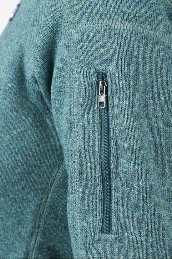Patagonia Fleece Better Sweater mid green