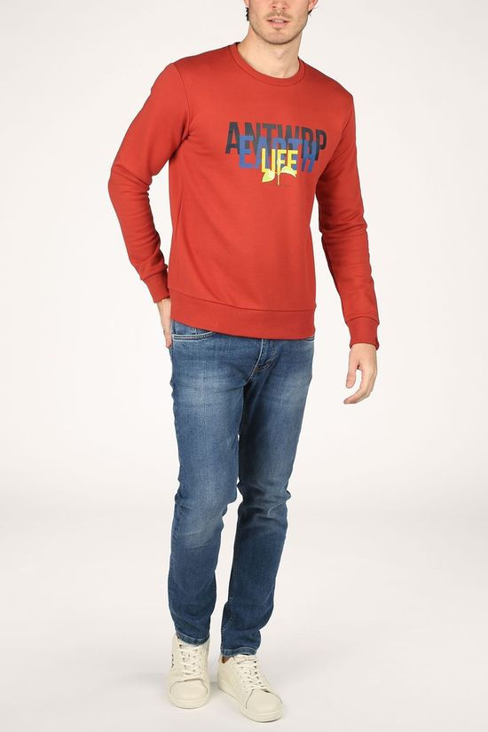 Antwrp Trui Bsw010-L008 rust
