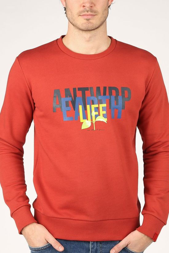 Antwrp Trui Bsw010-L008 rust