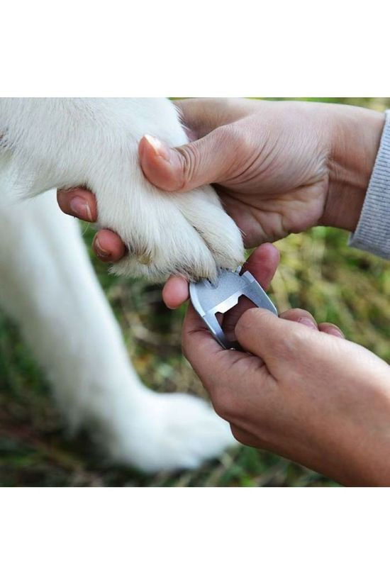Nite Ize Doohickey Dog Pet Tool No colour / Transparent