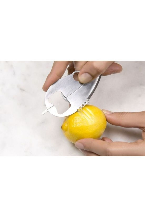 Kikkerland Herb Multi Tool silver