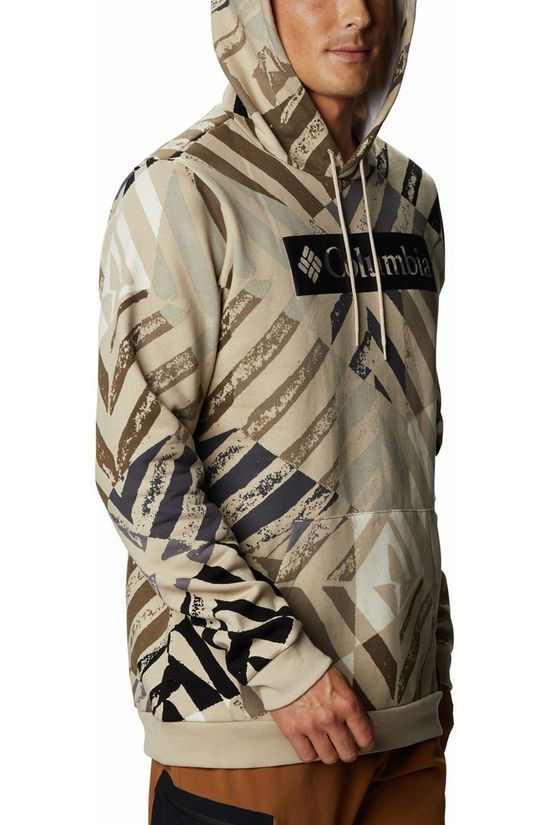 Columbia Pull Logo Printed Hoodie light brown/light blue