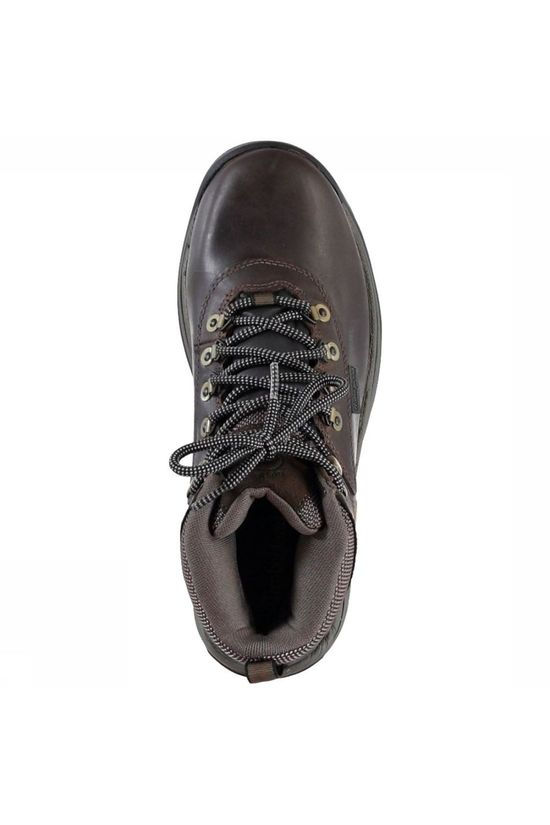 Timberland Schoen White Ledge brown