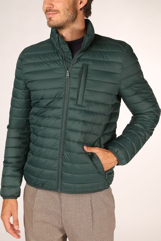 Esprit Jas 990Ee2G302 dark green