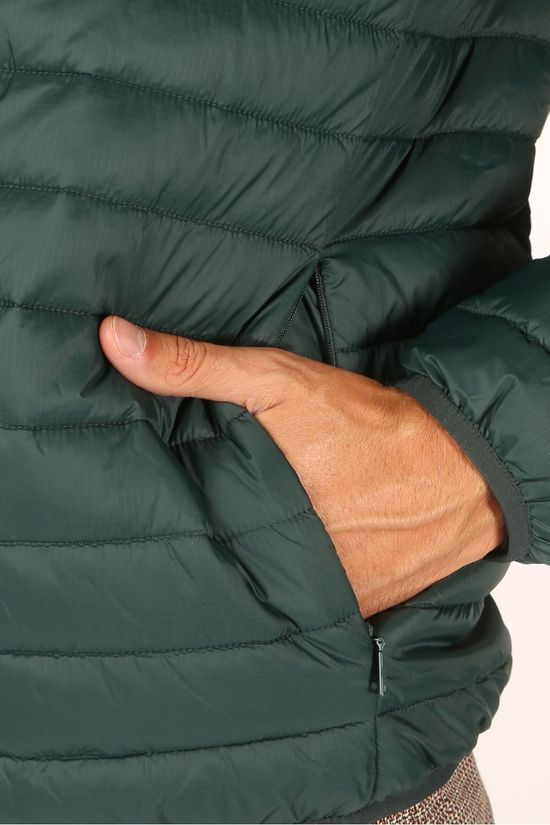 Esprit Jas 990Ee2G302 dark green