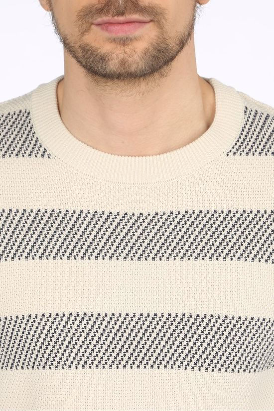 Tom Tailor Pull 1024983 Beige/Dark Blue