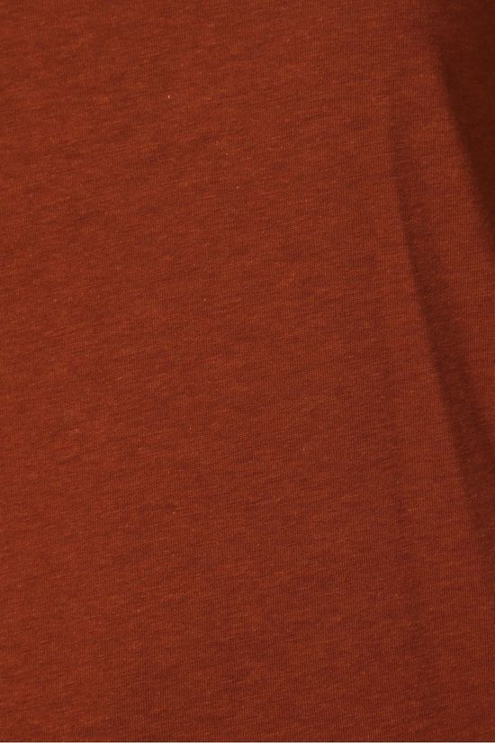 ARMEDANGELS T-Shirt Jamaal rust