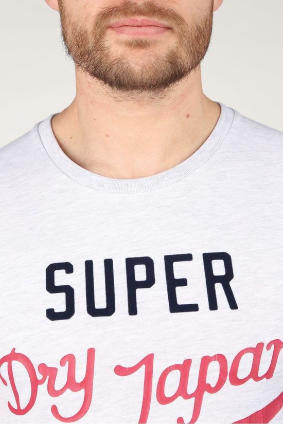 Superdry T-Shirt Collegiate Graphic 185 light grey