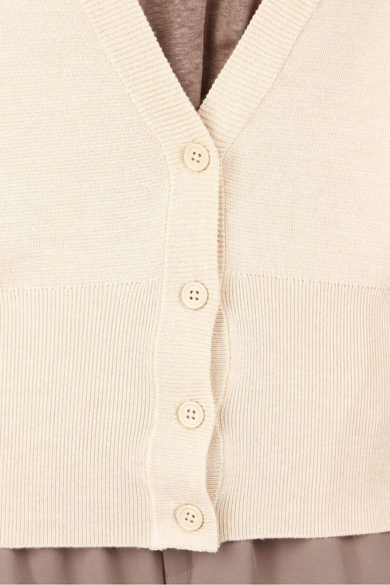 Inwear Cardigan Jasmin Sand Brown