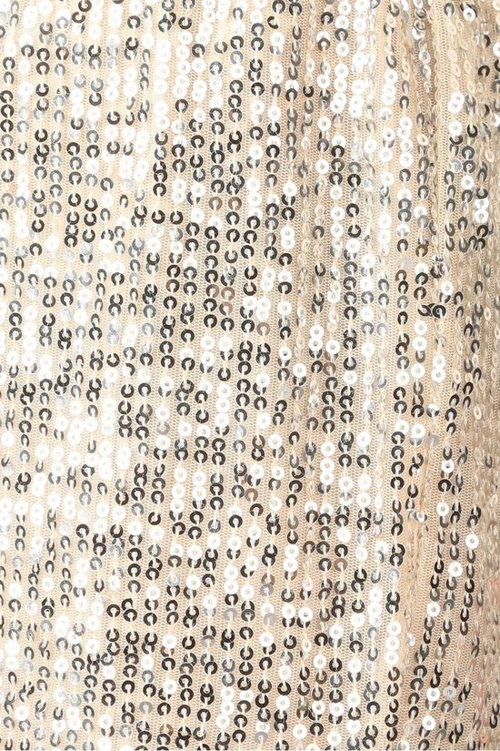 Selected Broek lucille Mw Ankle Sequins silver