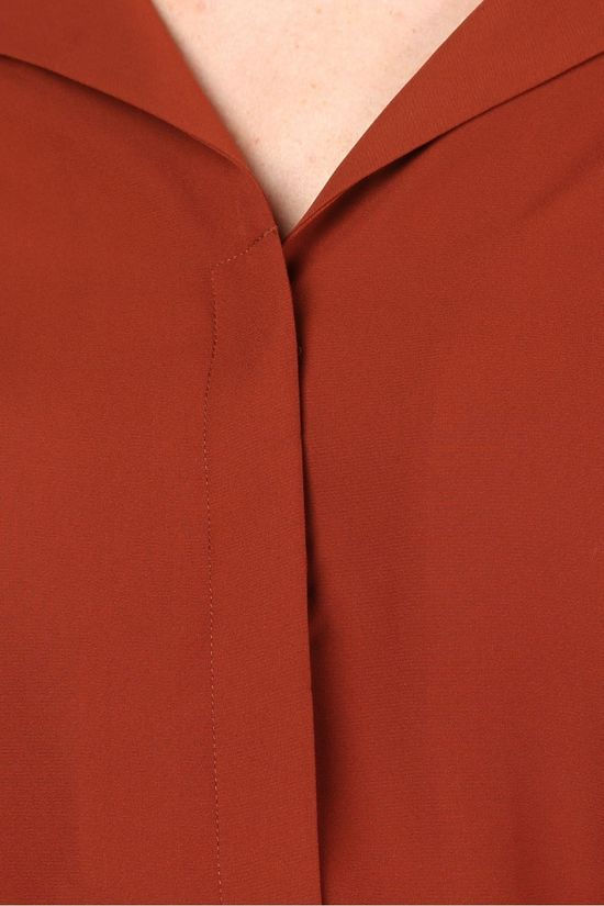 Selected Blouse  Stina Dynella Ls rust