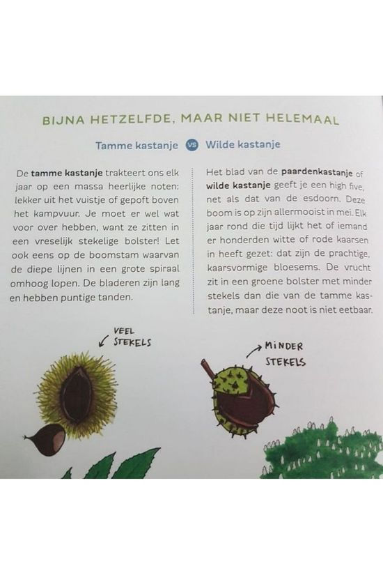 Outdoor Boek Out Het Bosboek 2017