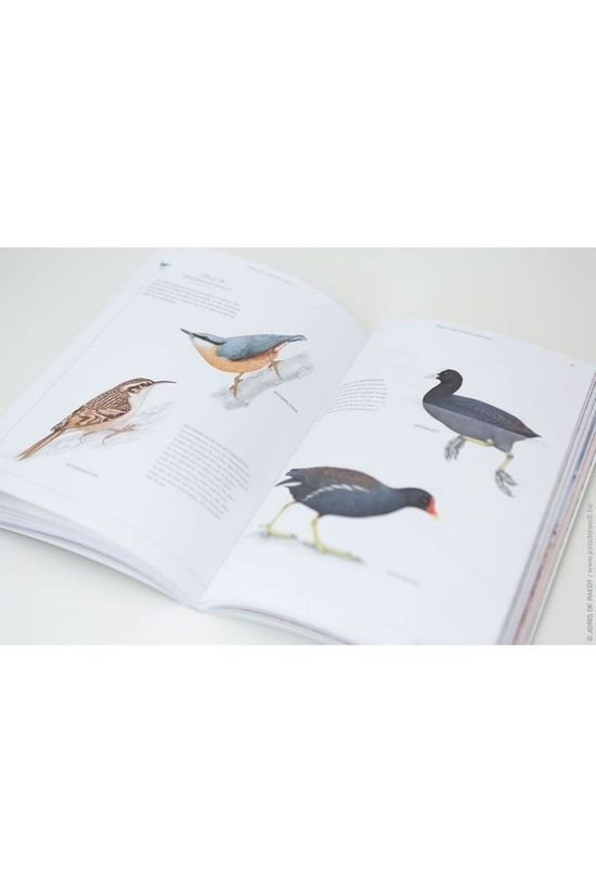 Outdoor Boek Out Fluitend Door Het Leven 2019