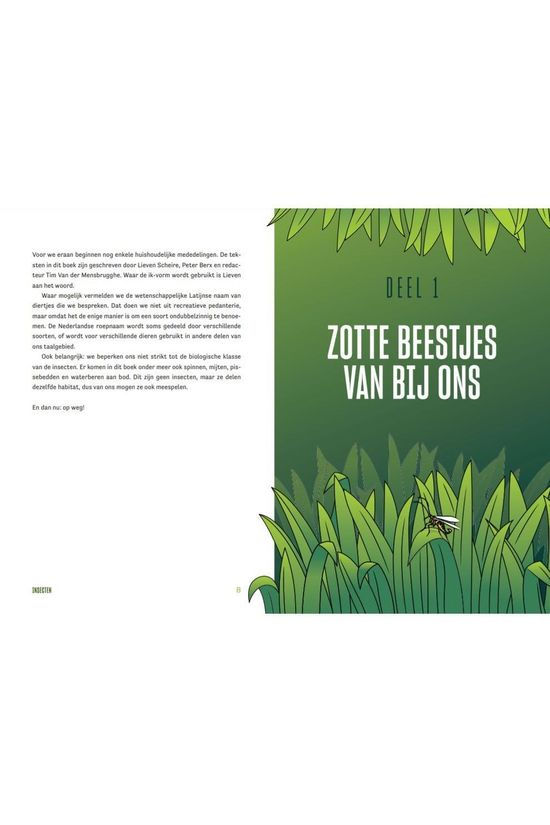 Outdoor Insecten Lieven Scheire 2020