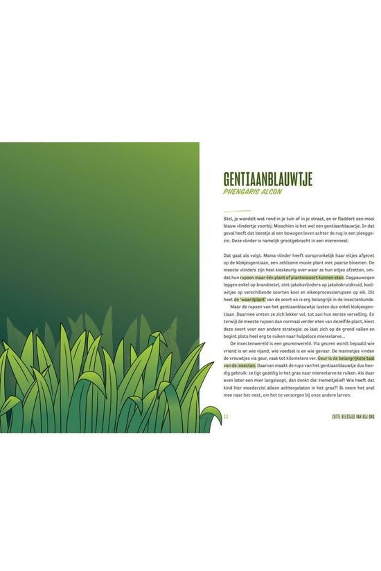 Outdoor Insecten Lieven Scheire 2020